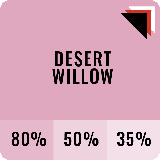 Desert Willow