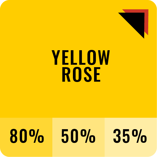 Yellow Rose